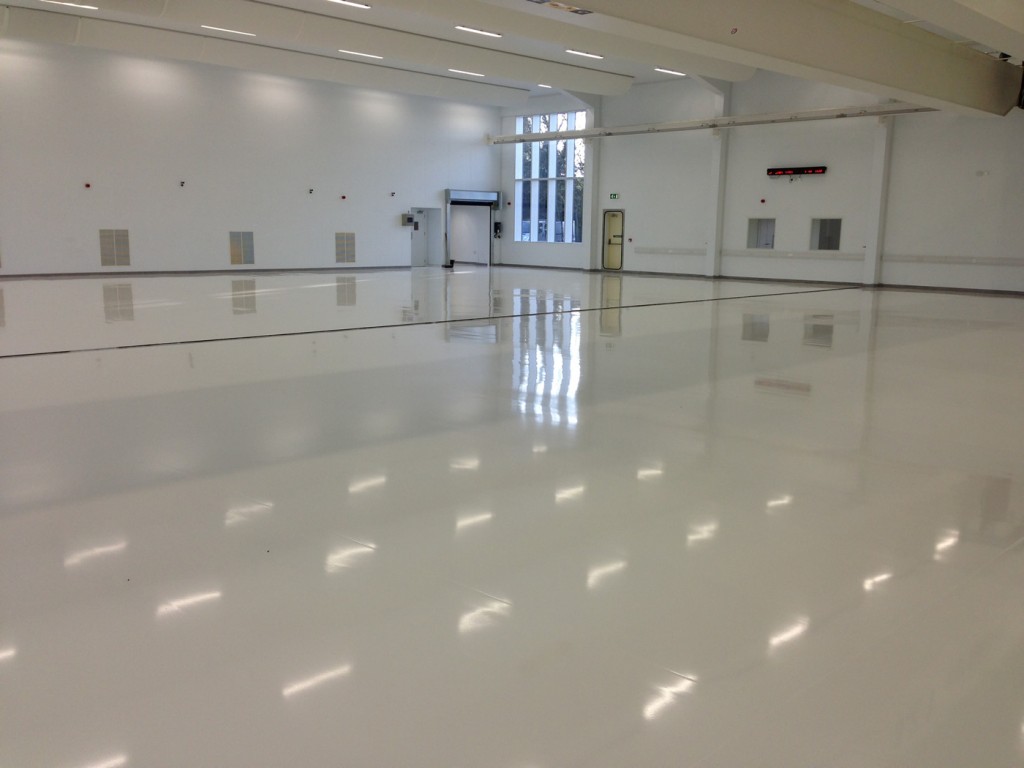 Clean Room With Decorative Flake System